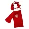 Arsenal Fotbalová Šála