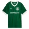 Palmeiras Domácí Dres 2025/26