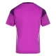 Aberdeen Brankářské Dres 2025/26 Fialová