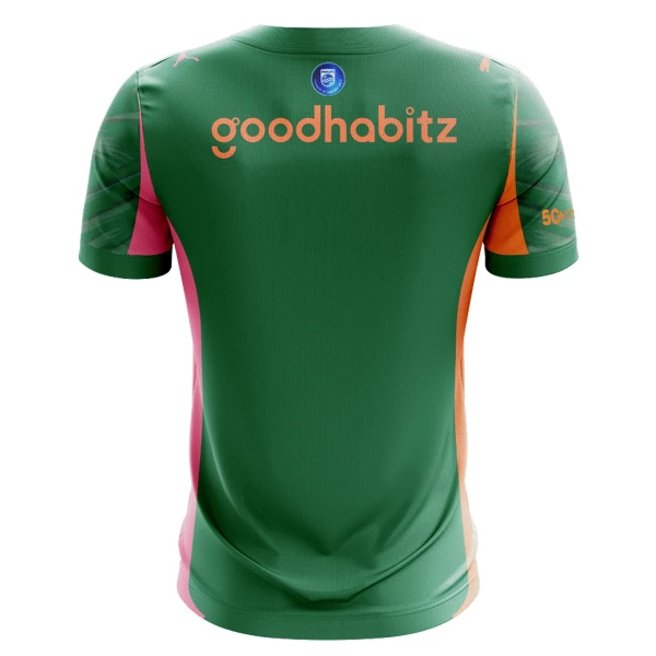 PSV Eindhoven Brankářské Dres 2025/26 Zelená