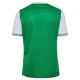 AS Saint-Étienne Domácí Dres 2025/26