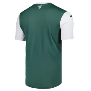 Hibernian Domácí Dres 2025/26