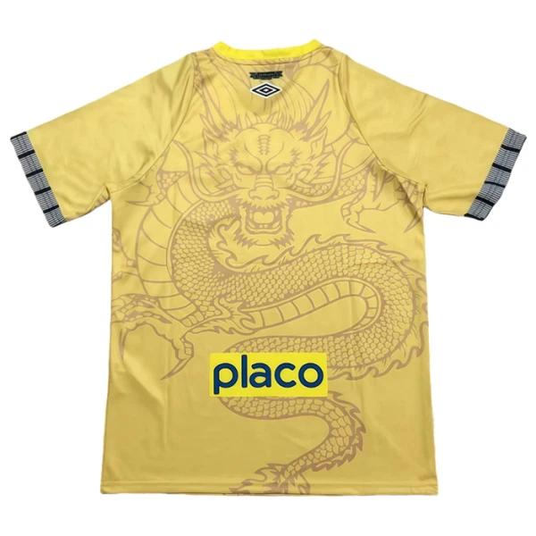 Santos FC Dres 2025/26 Dračí Žlutá