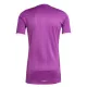 Aston Villa Brankářské Dres 2025/26 Fialová