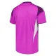 Leeds United Brankářské Dres 2025/26 Fialová