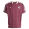 Ajax Terrace Icons Dres 2025/26