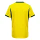 Brazílie Domácí Dres MS 2026