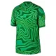 Brazílie Domácí Brankářské Dres MS 2026 Zelená