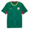 Senegal Venkovní Dres MS 2026