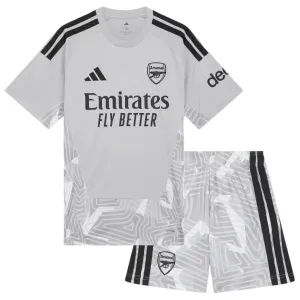 Arsenal Raya 1 Dětský Domácí Brankářské Dres 2026/27