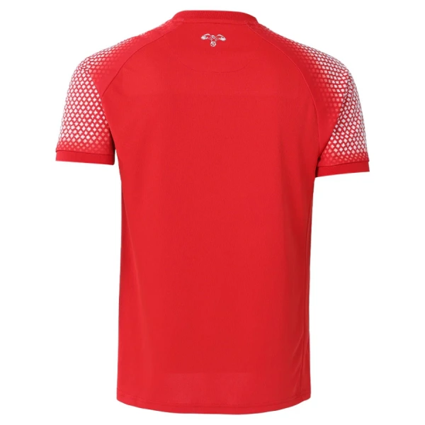 Venkovní Dres MS 2026 Jordan